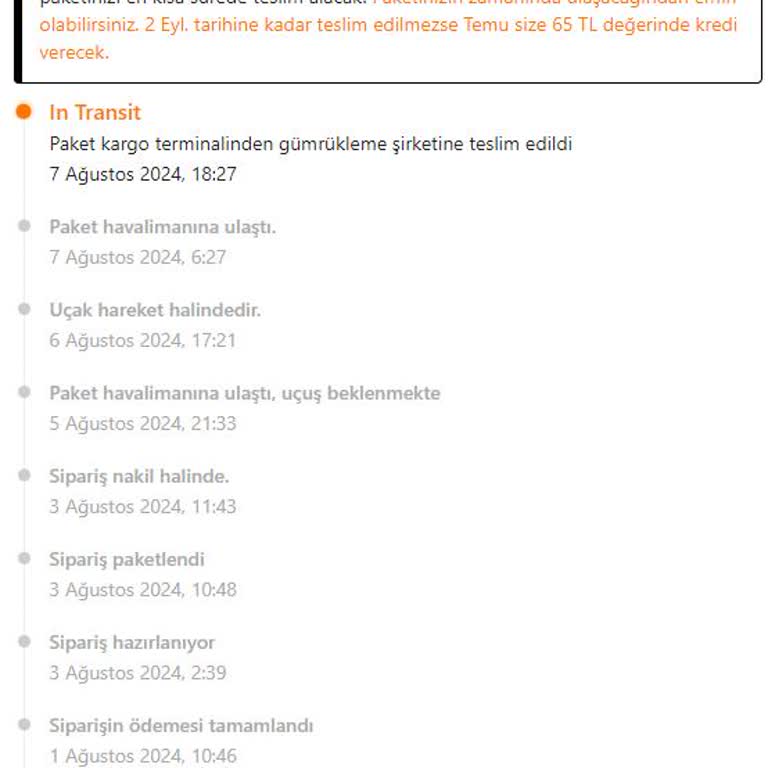 MNG Kargo Temu Gümrük Ürün Gecikmesi