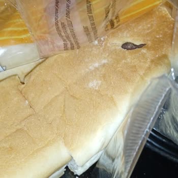 UNO Sandviç Ekmeği İçinden Fare Dışkısı Çıktı.