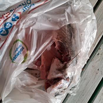 Carrefour SA Çözülemeyen Balık Sorunu