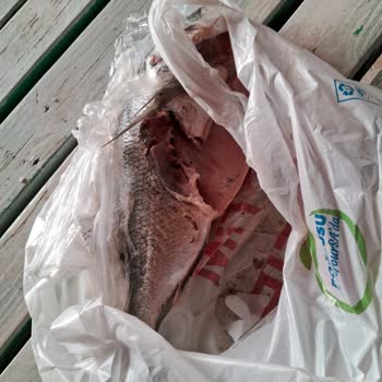 Carrefour SA Çözülemeyen Balık Sorunu