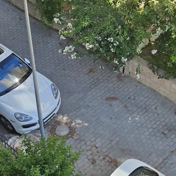 Söke Belediyesi Sokaklarda Düzensizlik Belediyenin Görevi İçindedir.