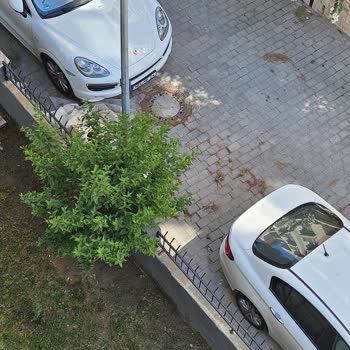 Söke Belediyesi Sokaklarda Düzensizlik Belediyenin Görevi İçindedir.