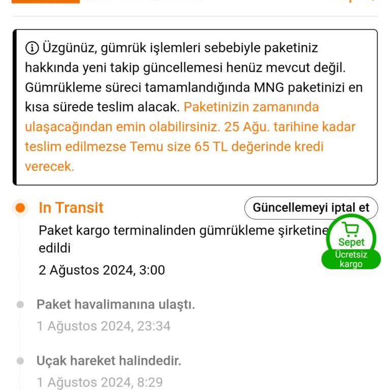 MNG Kargo Temu Ürünü Gümrük Takılı Kalma Sorunu