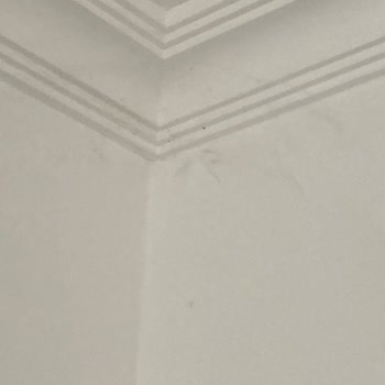 Latanya Park Resort Hotel (Bodrum) Jolly Tur İle Kötü Tatil Deneyimi: Hijyen Sorunları Ve İade Problemleri