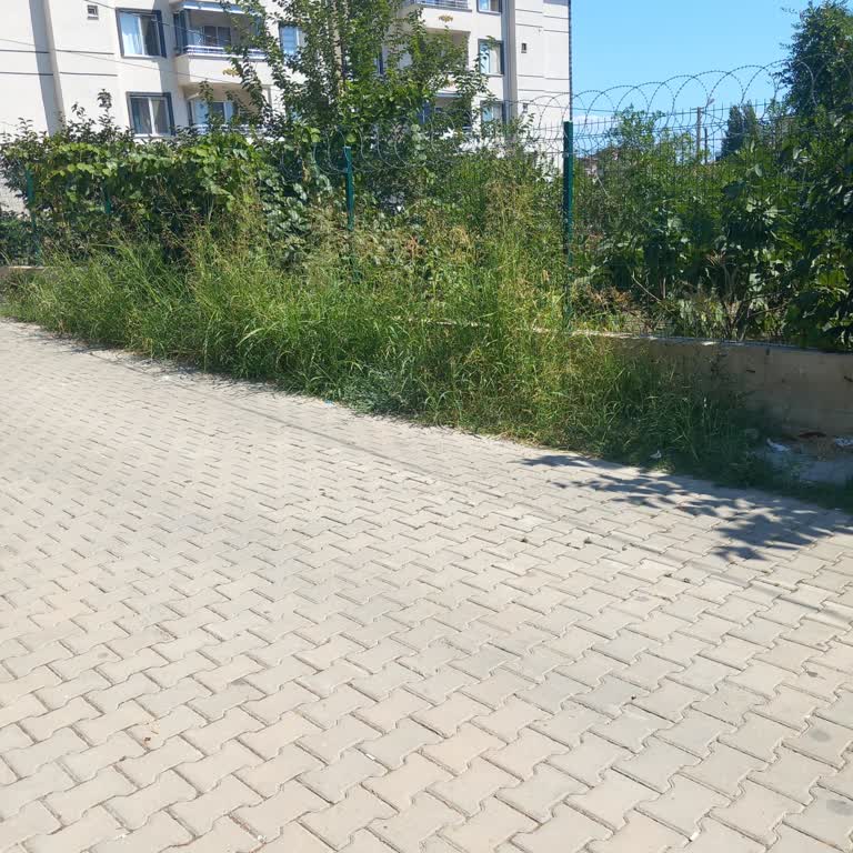 Süleymanpaşa Belediyesi Yeşilçam Sokak'taki Kötü Koku Ve Temizlik Sorunu