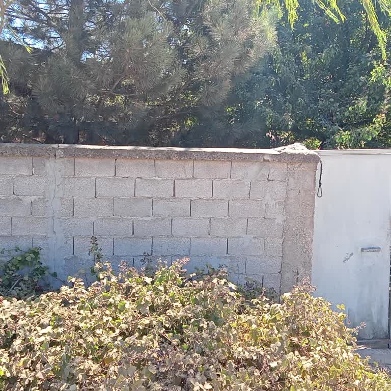 İZGAZ Doğalgaz Bağlantı Sorunu Ve Müşteri Şikayeti