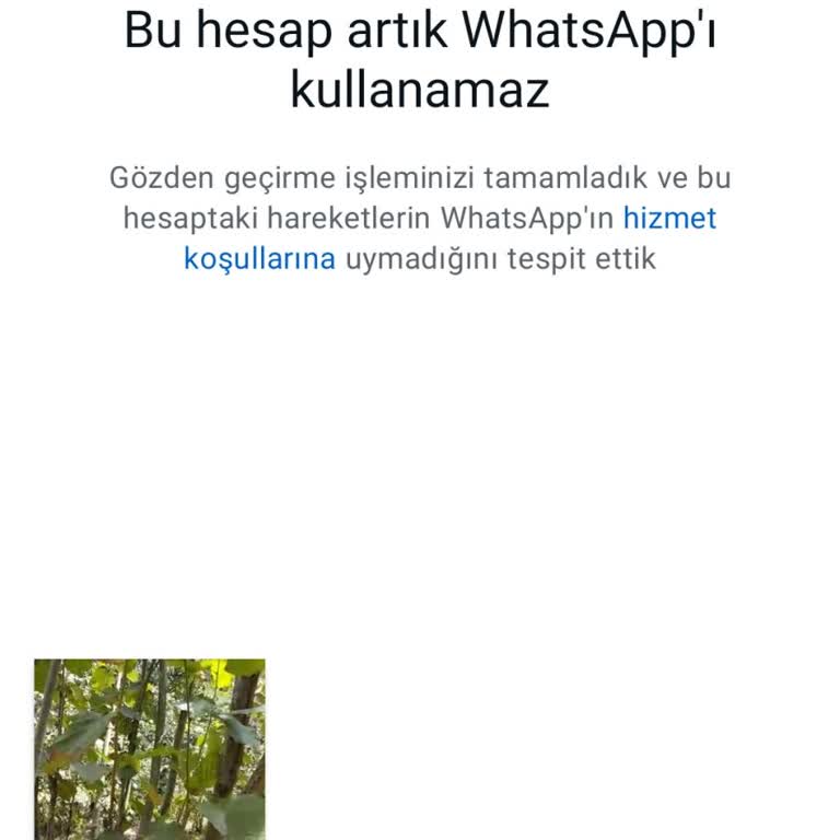 WhatsApp WP Giremiyorum Yasak Olan Hiçbir Şey Yapmadım