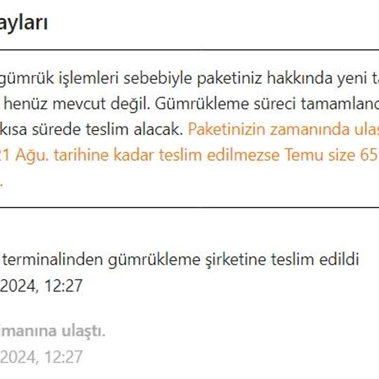 MNG Kargo Temu Siparişimi 19 Gündür Gümrükten Teslim Almıyor
