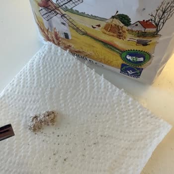 Migros Mlife Tam Buğday Un Böceklenme