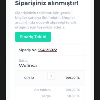 Wolinsa Shopier Üzerinden Alınan Ürünü Göndermiyor