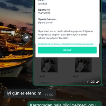 Wolinsa Shopier Üzerinden Alınan Ürünü Göndermiyor