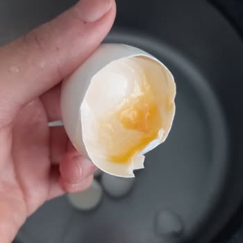 Hakmar Gıda Bozuk Yumurtalar Ve İlgisiz Müşteri Hizmetleri