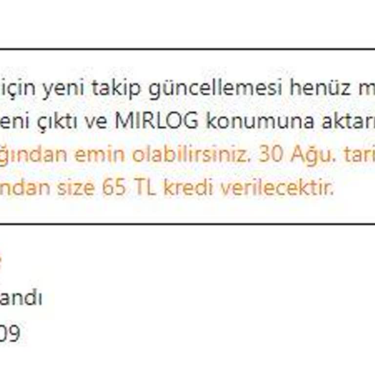 Mirlog Temu Alışverişimde Gümrük Ve Kargo Sorunları