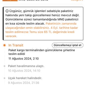 Temu Alışverişim Hâlâ Gümrükte Elime Ulaşmadı