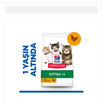 Pet Smart 'tan Aldığım Yavru Kedi Maması Sorunu