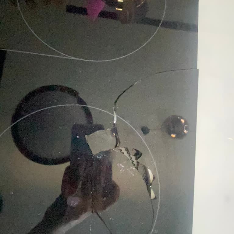 Arçelik Elektrikli Ocak Patlama Sorunu ve İlgisizlik