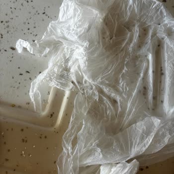 Migros'ta Ürün Kalitesi Ve Hizmet Sorunları