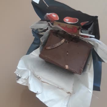 Ender Şekerleme Kurtçukları