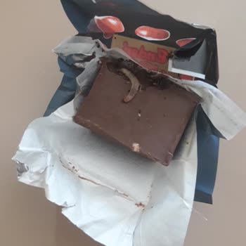 Ender Şekerleme Kurtçukları