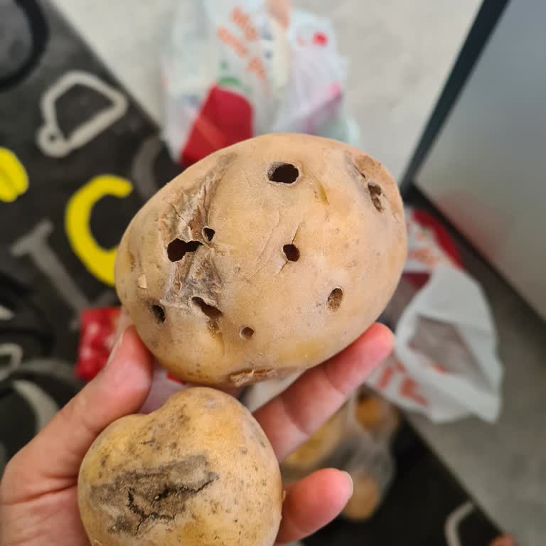 Migros Çürük, Çöpe Atılacak Patatesi Yollamışlar