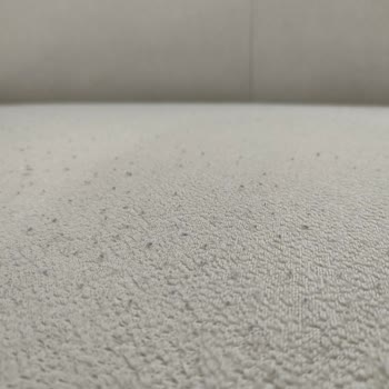 Divanev Agata Koltuk Takımı