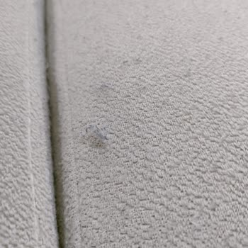 Divanev Agata Koltuk Takımı