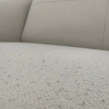 Divanev Agata Koltuk Takımı