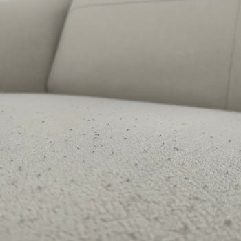 Divanev'den Alınan Koltuk Takımında Tiftiklenme Ve Saygısız Hizmet