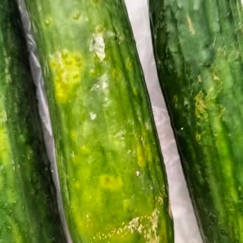 Şok Market Çürük Ürün Gönderip Para İadesi Yapmıyor