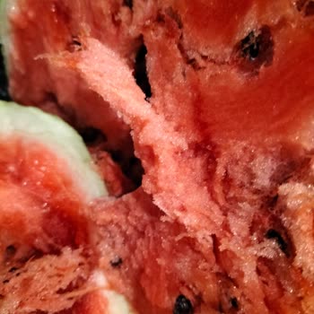 Şok Market Çürük Ürün Gönderip Para İadesi Yapmıyor