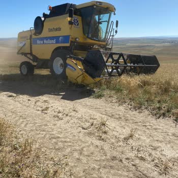 TARSİM Kuraklık Sigortası Ne Zaman Sonuçlanacak