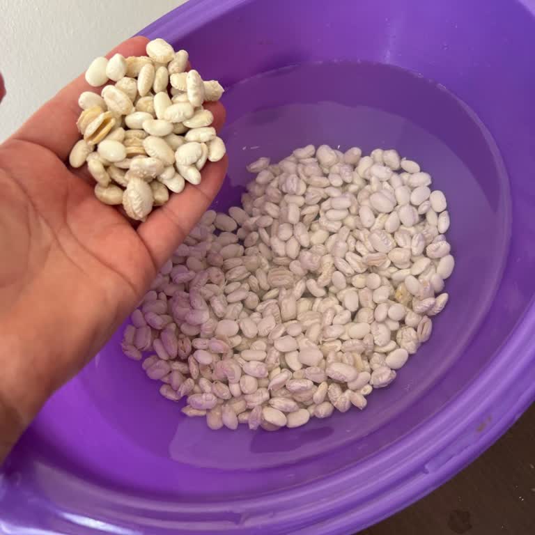 Hasata Fasülye Şikayetleri!