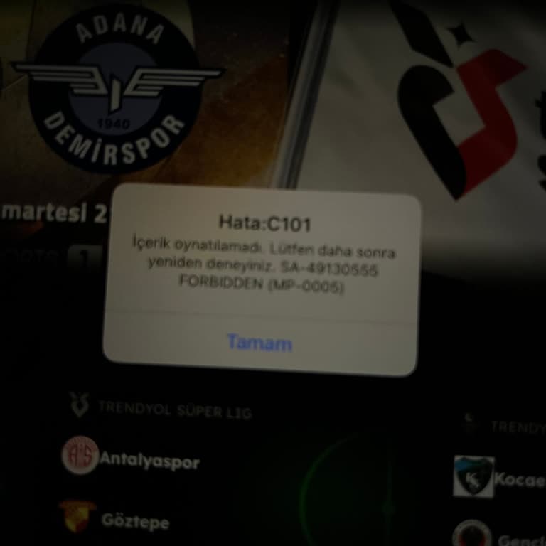 Todtv İnternet Yayını İşini Henüz Çözememiş