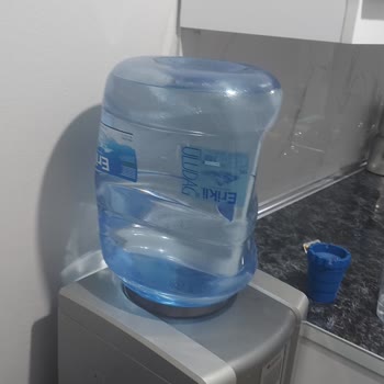 Erikli Damacanalarının Kağıt Gibi Bir Yapıya Bürünmesi