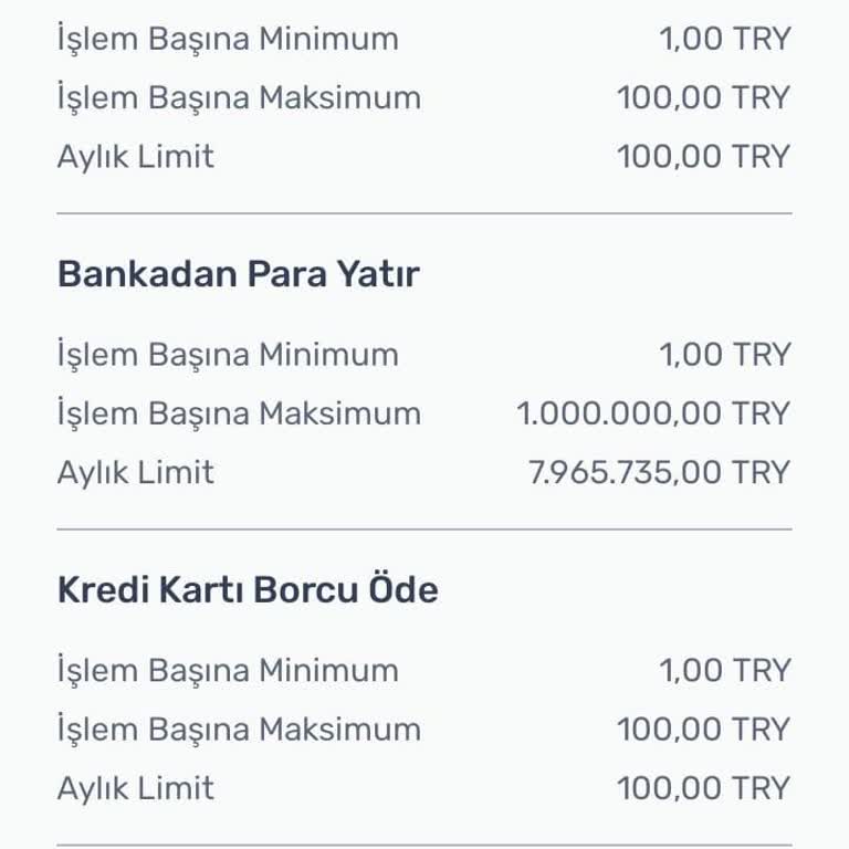 Moneytolia Para Çekme Ve Limit Problemi
