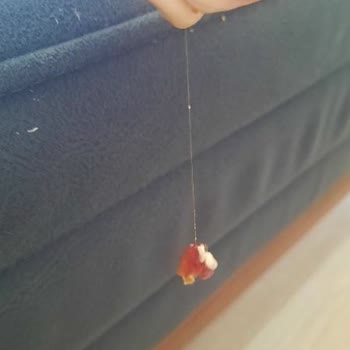 BİM Kusurlu Ürün İçinden Kıl Çıktı