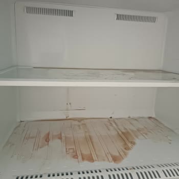 Beko Koku Dan Dolayı Garanti Kapsamıyor Açıklama İstiyorum