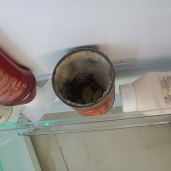 Beko Koku Dan Dolayı Garanti Kapsamıyor Açıklama İstiyorum