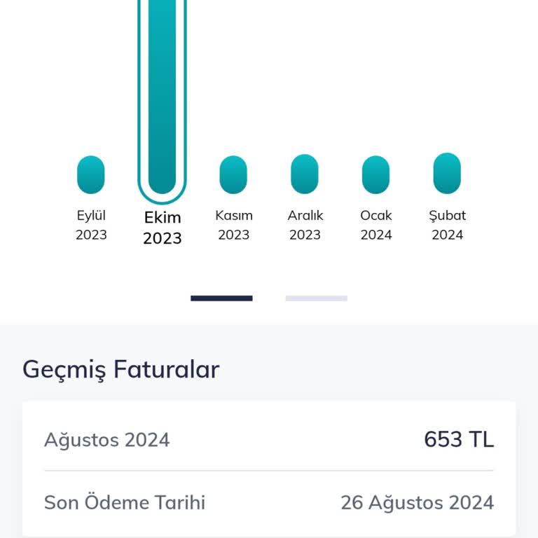 Türk Telekom Yurt Dışı Kullanımı Bilgilendirme Eksikliği Sonucu Yüksek Fatura
