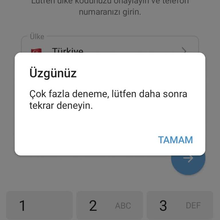 Telegram'a Giriş Yapamıyorum