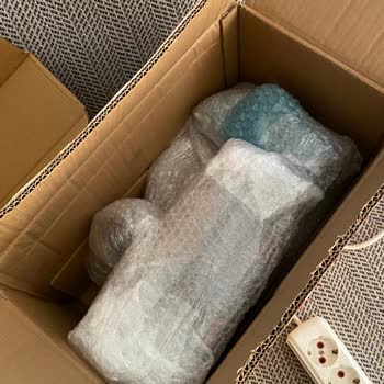 Dyson Firması Garanti Mağduriyeti