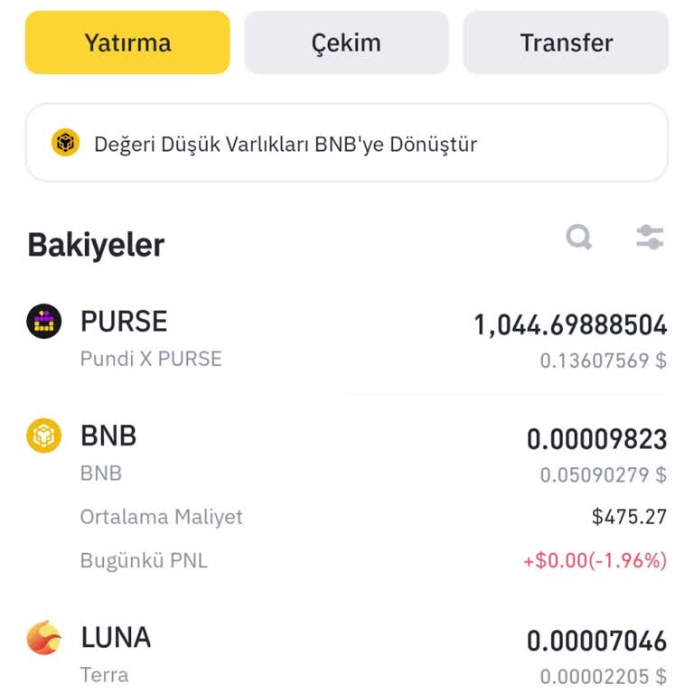 Binance Hesabıma Yaptırdığım Usdtler Hesaba Geçmedi