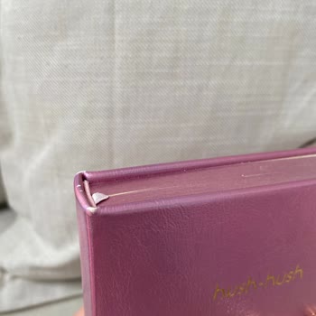 Victoria's Journals'tan Aldığım Günlük Bir Günlük Kullanımda Soyuldu