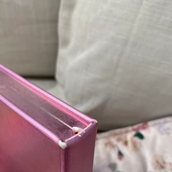 Victoria's Journals'tan Aldığım Günlük Bir Günlük Kullanımda Soyuldu