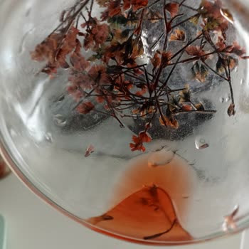 Kupa Dünyam Firmasından Aldığım Ürünler Kalitesiz Çıktı