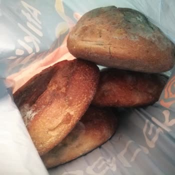 Backhaus Bayat Ekşi Mayalı Ekmek