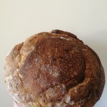 Backhaus Bayat Ekşi Mayalı Ekmek