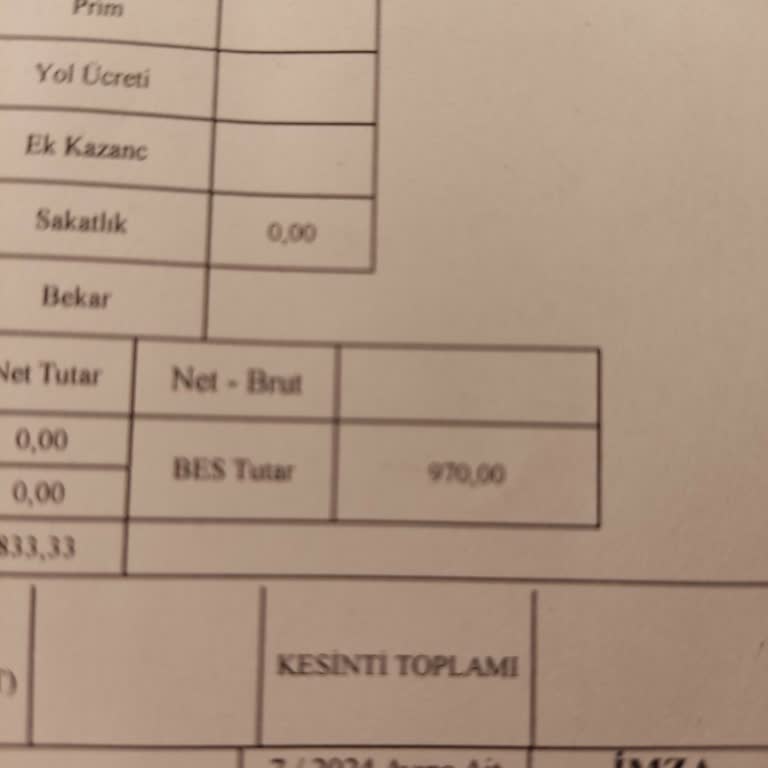 Türkiye Hayat Emeklilik Mağduriyeti Maaşta Gözüküp Yatırılmayan BES