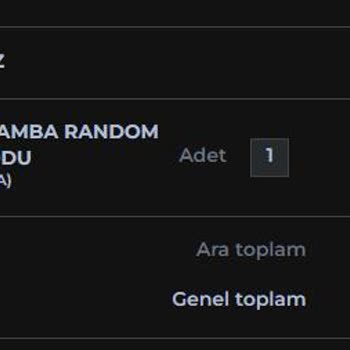 Shopier Aldığım VP Kodları Beklentilerimi Karşılamadı
