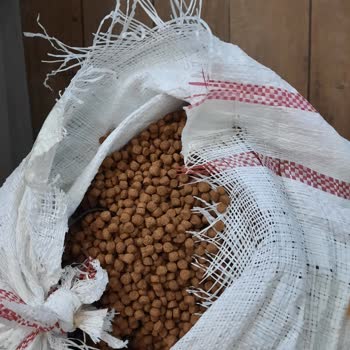 N11 Tampa Hijyen Bayat Mama Ve Açık Paket Gönderimi!